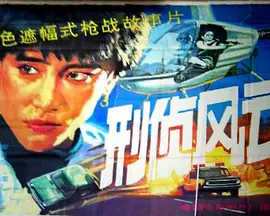 刑侦风云 刑侦风云