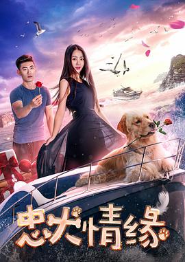 忠犬情缘 忠犬情缘