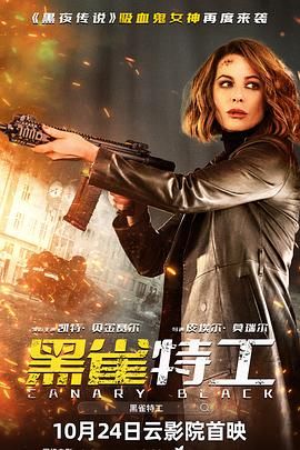 黑雀特工普通话版 黑雀特工普通话版